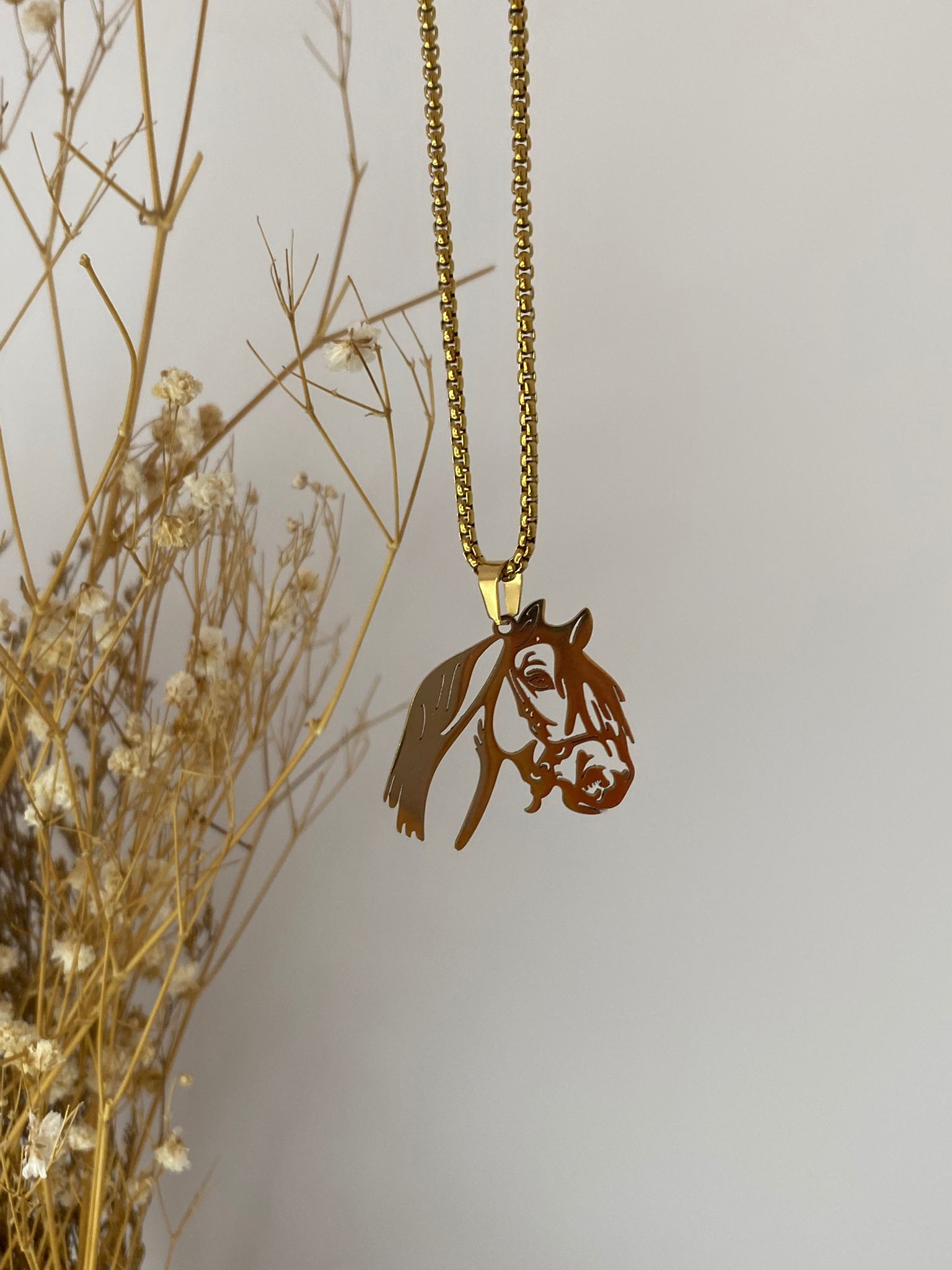 Cadena + dije cabeza de caballo